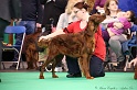Crufts2011 196